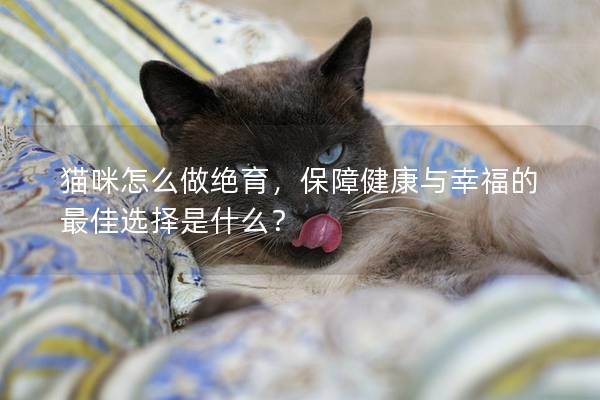 猫咪怎么做绝育，保障健康与幸福的最佳选择是什么？