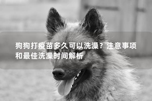 狗狗打疫苗多久可以洗澡？注意事项和最佳洗澡时间解析