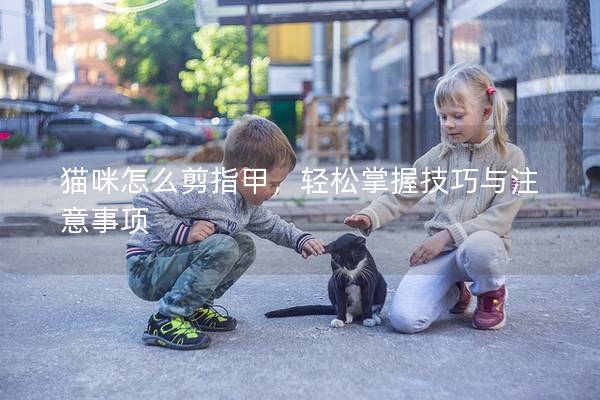 猫咪怎么剪指甲，轻松掌握技巧与注意事项