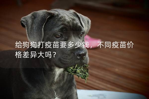给狗狗打疫苗要多少钱，不同疫苗价格差异大吗？