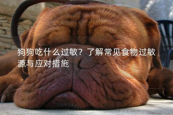 狗狗吃什么过敏？了解常见食物过敏源与应对措施