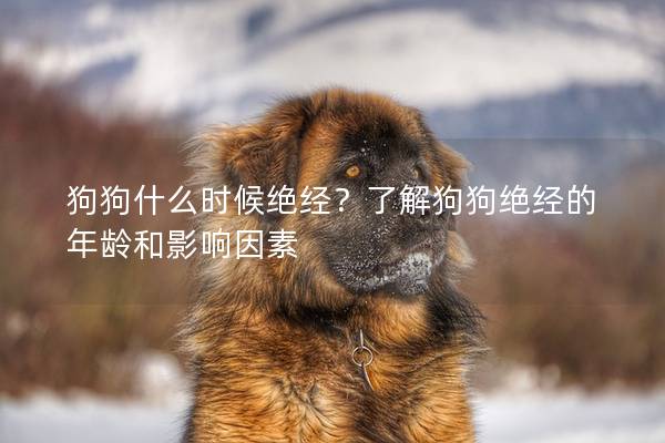 狗狗什么时候绝经？了解狗狗绝经的年龄和影响因素