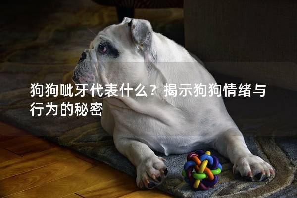狗狗呲牙代表什么？揭示狗狗情绪与行为的秘密