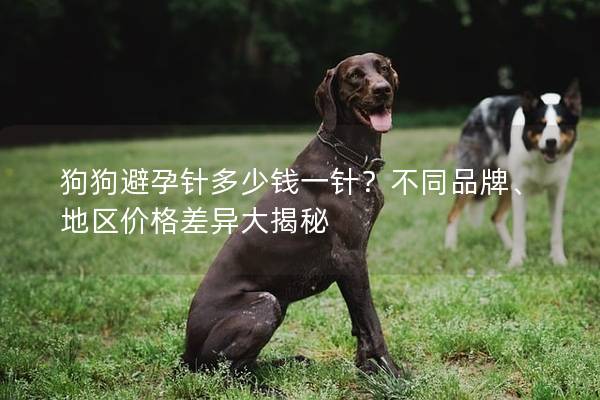 狗狗避孕针多少钱一针？不同品牌、地区价格差异大揭秘