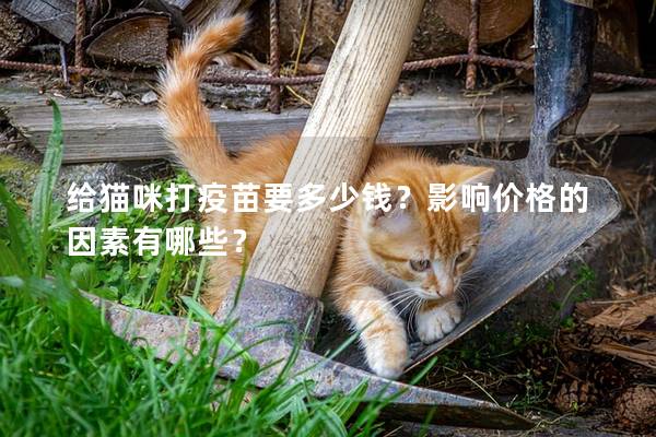 给猫咪打疫苗要多少钱？影响价格的因素有哪些？