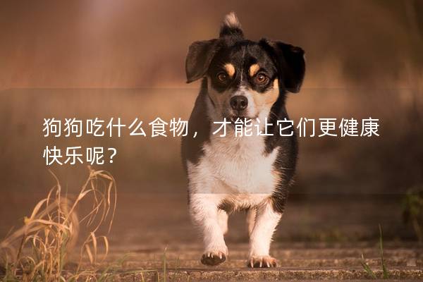 狗狗吃什么食物，才能让它们更健康快乐呢？