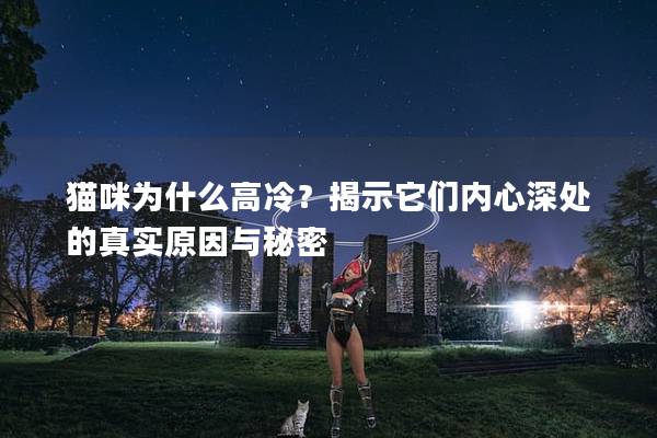猫咪为什么高冷？揭示它们内心深处的真实原因与秘密