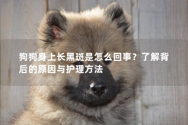 狗狗身上长黑斑是怎么回事？了解背后的原因与护理方法