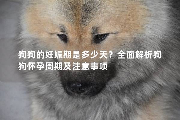 狗狗的妊娠期是多少天？全面解析狗狗怀孕周期及注意事项
