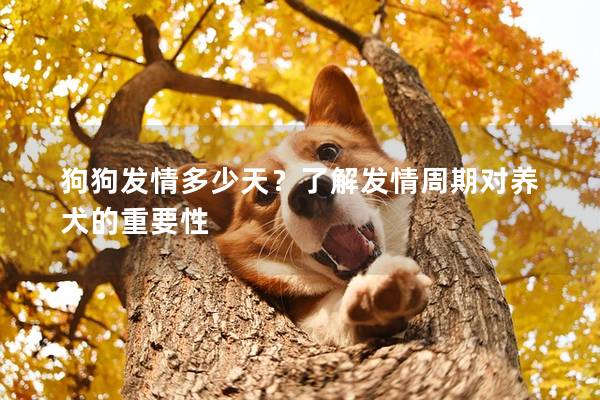 狗狗发情多少天？了解发情周期对养犬的重要性