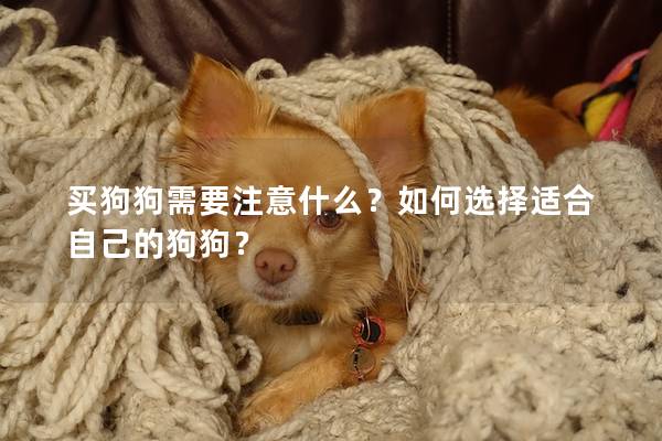买狗狗需要注意什么？如何选择适合自己的狗狗？