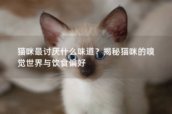 猫咪最讨厌什么味道？揭秘猫咪的嗅觉世界与饮食偏好