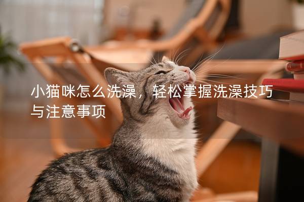 小猫咪怎么洗澡，轻松掌握洗澡技巧与注意事项