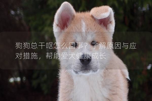 狗狗总干呕怎么回事？了解原因与应对措施，帮助爱犬健康成长