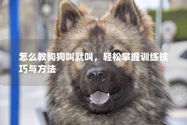 怎么教狗狗叫就叫，轻松掌握训练技巧与方法
