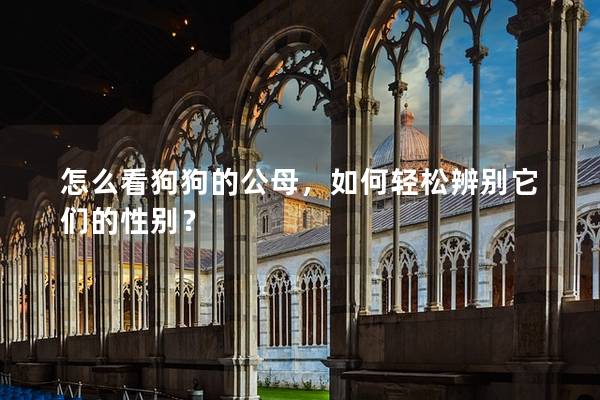 怎么看狗狗的公母，如何轻松辨别它们的性别？