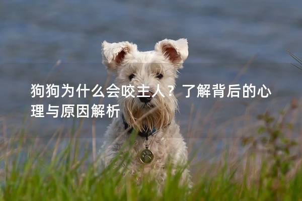 狗狗为什么会咬主人？了解背后的心理与原因解析