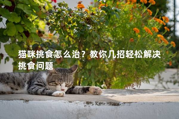 猫咪挑食怎么治？教你几招轻松解决挑食问题