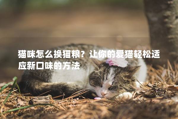 猫咪怎么换猫粮？让你的爱猫轻松适应新口味的方法