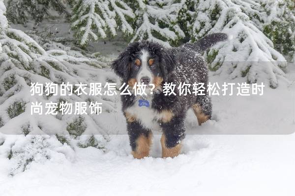 狗狗的衣服怎么做？教你轻松打造时尚宠物服饰