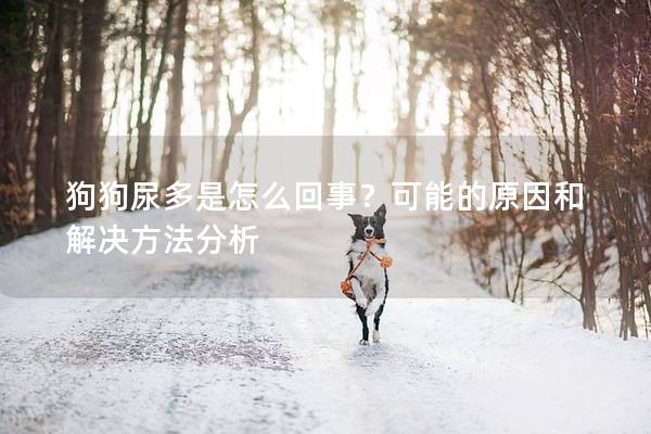 狗狗尿多是怎么回事？可能的原因和解决方法分析