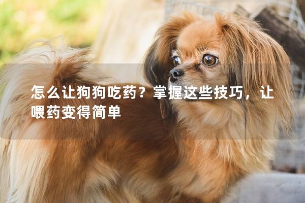 怎么让狗狗吃药？掌握这些技巧，让喂药变得简单