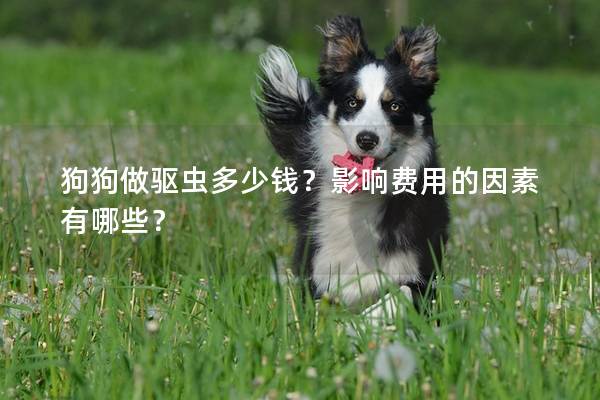 狗狗做驱虫多少钱？影响费用的因素有哪些？