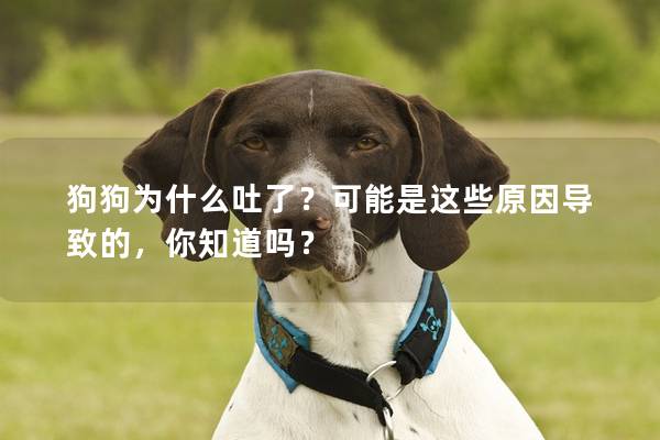 狗狗为什么吐了？可能是这些原因导致的，你知道吗？