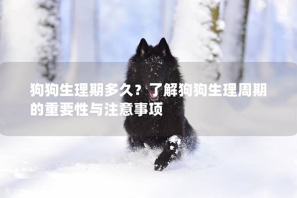 狗狗生理期多久？了解狗狗生理周期的重要性与注意事项