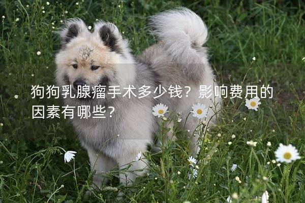 狗狗乳腺瘤手术多少钱？影响费用的因素有哪些？