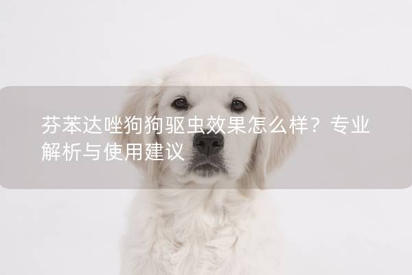 芬苯达唑狗狗驱虫效果怎么样？专业解析与使用建议