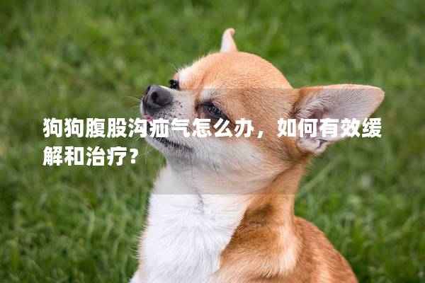 狗狗腹股沟疝气怎么办，如何有效缓解和治疗？