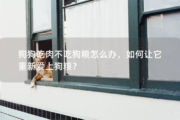 狗狗吃肉不吃狗粮怎么办，如何让它重新爱上狗粮？