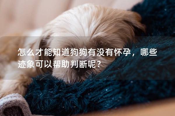 怎么才能知道狗狗有没有怀孕，哪些迹象可以帮助判断呢？
