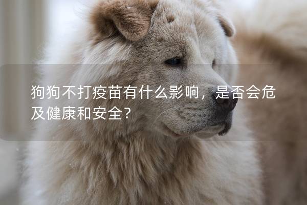 狗狗不打疫苗有什么影响，是否会危及健康和安全？