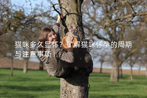 猫咪多久显怀？了解猫咪怀孕的周期与注意事项