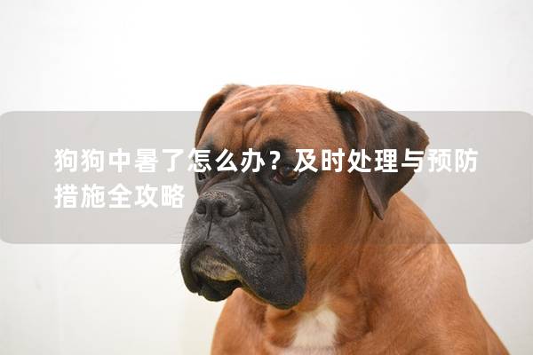 狗狗中暑了怎么办？及时处理与预防措施全攻略