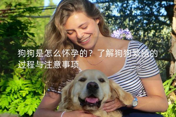 狗狗是怎么怀孕的？了解狗狗繁殖的过程与注意事项