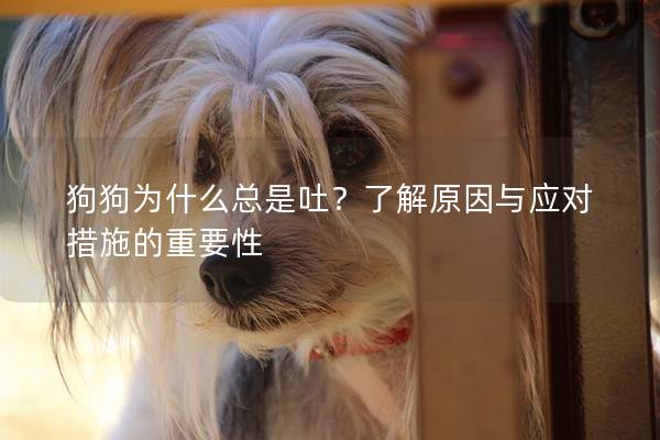 狗狗为什么总是吐？了解原因与应对措施的重要性