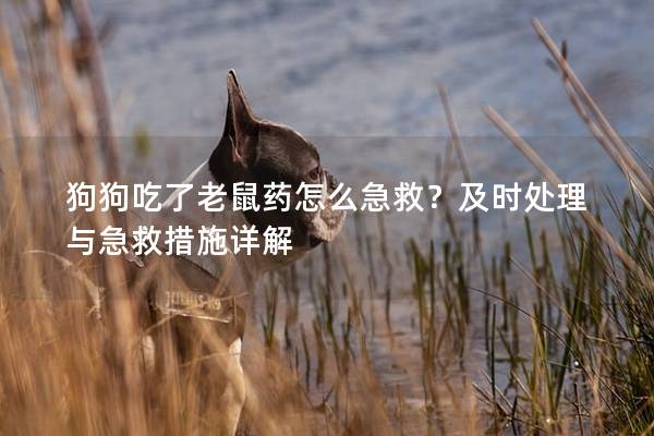 狗狗吃了老鼠药怎么急救？及时处理与急救措施详解