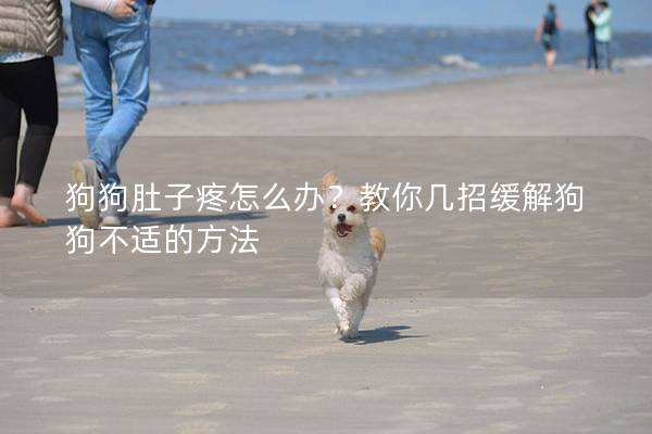 狗狗肚子疼怎么办？教你几招缓解狗狗不适的方法