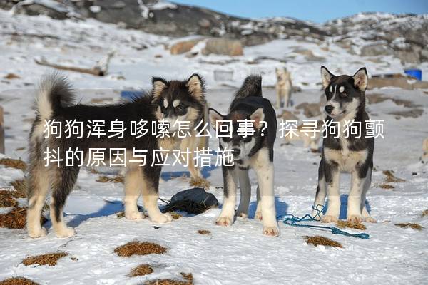 狗狗浑身哆嗦怎么回事？探寻狗狗颤抖的原因与应对措施