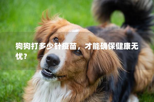 狗狗打多少针疫苗，才能确保健康无忧？