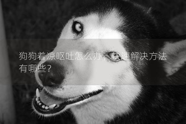 狗狗着凉呕吐怎么办，快速解决方法有哪些？