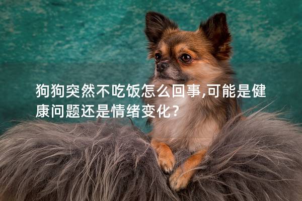 狗狗突然不吃饭怎么回事,可能是健康问题还是情绪变化？