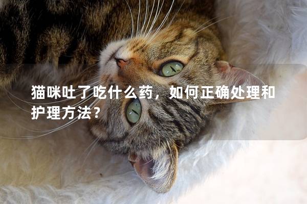 猫咪吐了吃什么药，如何正确处理和护理方法？