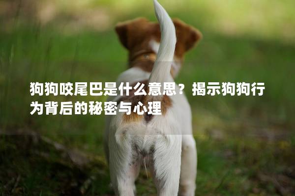 狗狗咬尾巴是什么意思？揭示狗狗行为背后的秘密与心理