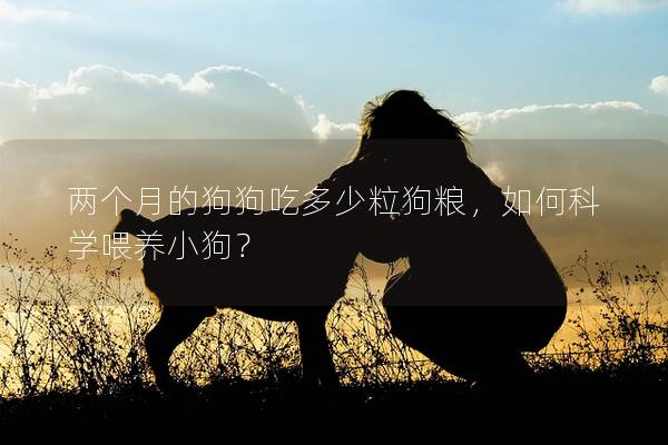 两个月的狗狗吃多少粒狗粮，如何科学喂养小狗？