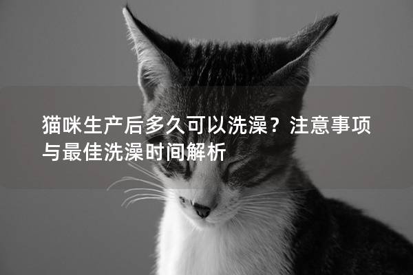猫咪生产后多久可以洗澡？注意事项与最佳洗澡时间解析