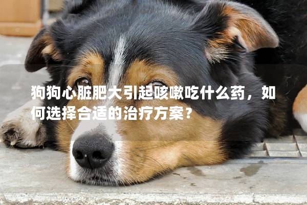 狗狗心脏肥大引起咳嗽吃什么药，如何选择合适的治疗方案？